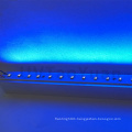 SMD 3535 LED Light Source 300mm Size 275nm Ultraviolet Light Bar DC 12V UVC LED Strip